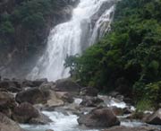 丰顺后天天气